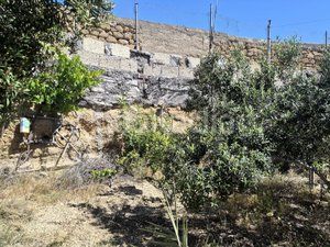 Foto b9b9ea7e-524a-41bd-a1f6-b71aad172203. Finca rústica en Arico