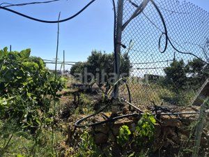 Foto ee89e9a3-9ada-4dd2-a720-5ceece4e391e. Finca rústica en Arico