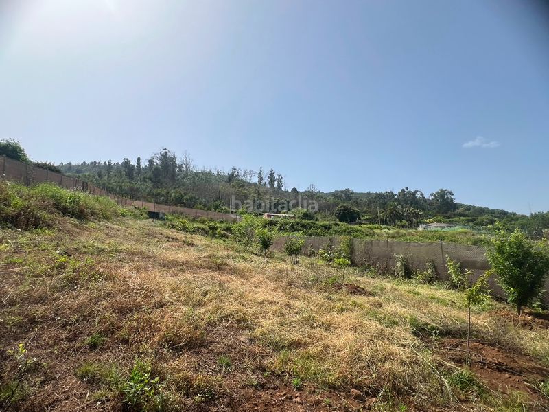 Foto b5aa59a7-bf62-40c0-82c1-8639e82c14a1. Finca rústica a La Corujera Santa Úrsula