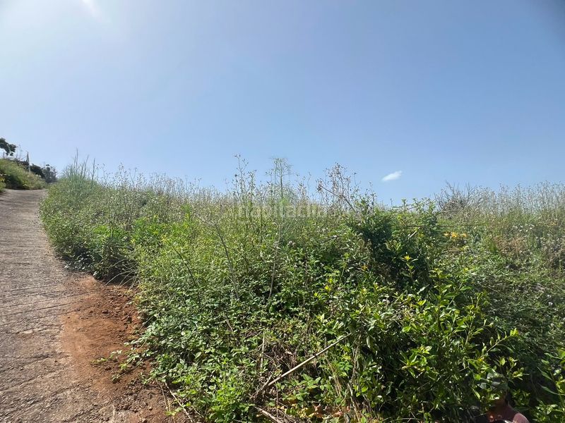 Foto f0b8cef2-6dd4-411c-9af6-830a31166fef. Finca rústica a La Corujera Santa Úrsula
