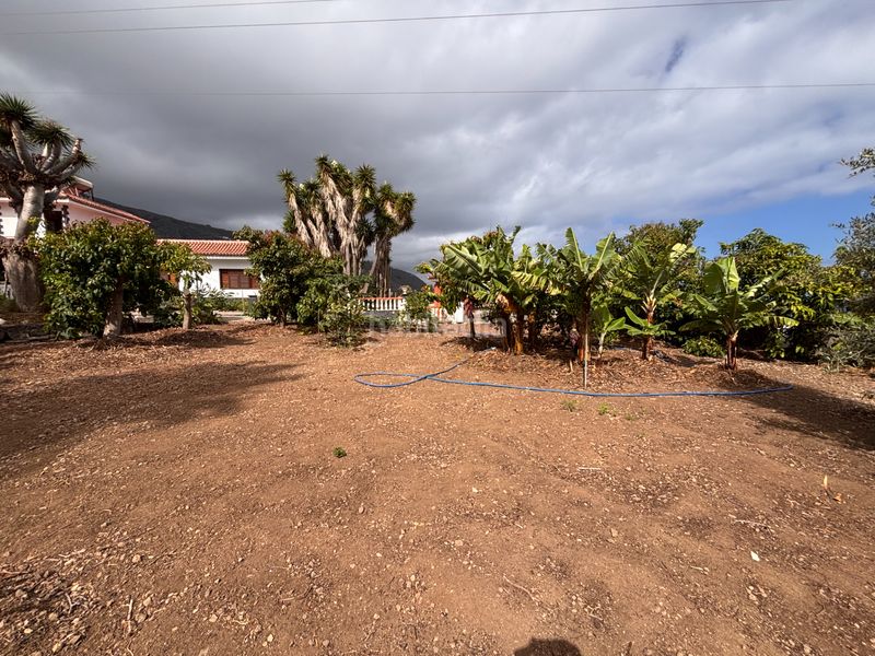 Foto ae87852e-8c29-443e-be8a-d9f6087bd589. Chalet casa chalet independiente - tenerife norte en Icod de los Vinos