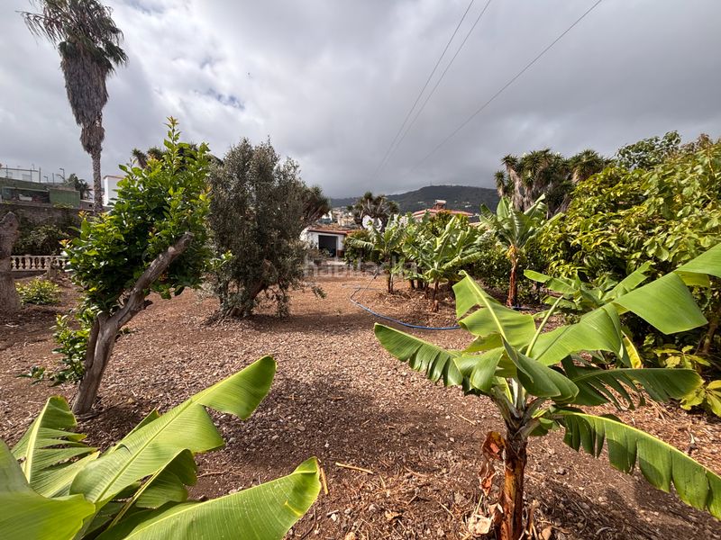 Foto fe087590-5bb7-4f67-b387-dadb1c1cd906. Chalet casa chalet independiente - tenerife norte en Icod de los Vinos