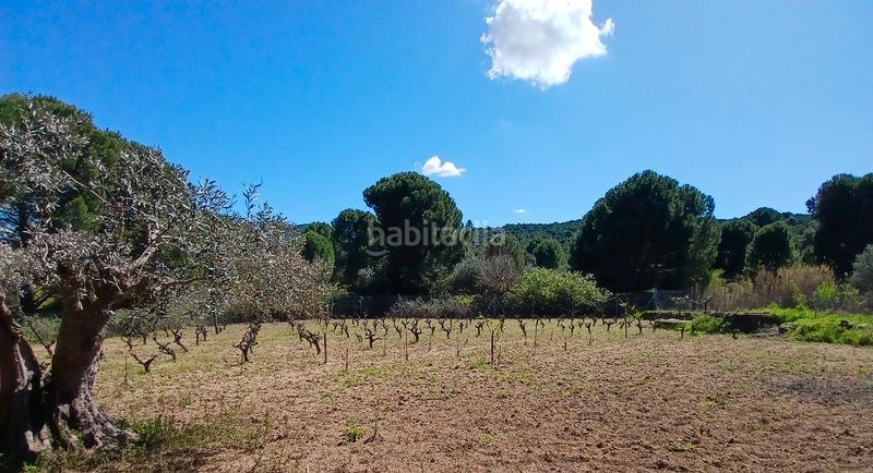 Foto 31383054-33a8-4ac0-aa04-473ae5114d5b. Finca rústica en partida las colmenas 6 terreno rústico en San Martín de Valdeiglesias