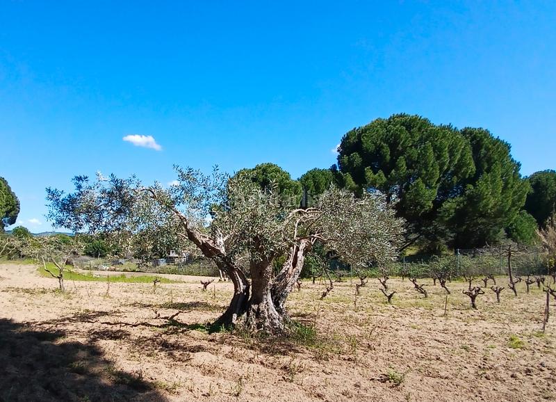 Foto 512ec74d-7d1a-4644-bd0e-e0b22f12988f. Finca rústica en partida las colmenas 6 terreno rústico en San Martín de Valdeiglesias