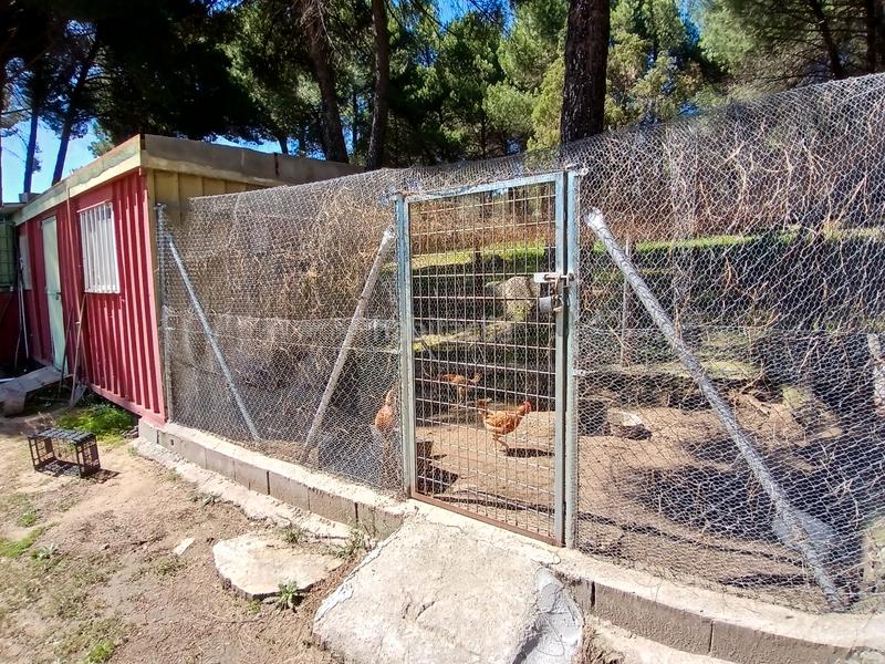 Foto 52af2fd4-9ce7-46a1-9225-5c05ab59ea82. Finca rústica en partida las colmenas 6 terreno rústico en San Martín de Valdeiglesias
