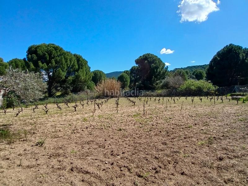 Foto 60ffb633-abbb-4baf-8be0-3ce1a2bbb87a. Finca rústica en partida las colmenas 6 terreno rústico en San Martín de Valdeiglesias