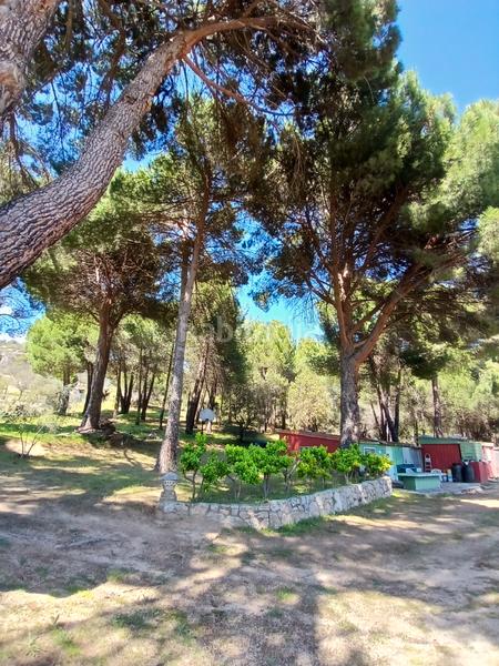 Foto 95d92ba3-6ee1-4491-b8f8-449620c8781c. Finca rústica en partida las colmenas 6 terreno rústico en San Martín de Valdeiglesias