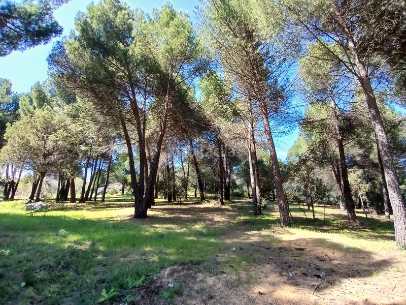 Foto a00af335-c1e4-4273-99ed-b381f6c2fc75. Finca rústica en partida las colmenas 6 terreno rústico en San Martín de Valdeiglesias