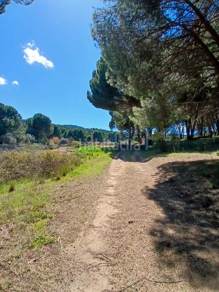 Foto a5a8f1c8-2422-4fd4-b5d0-74f8791fb79e. Finca rústica en partida las colmenas 6 terreno rústico en San Martín de Valdeiglesias