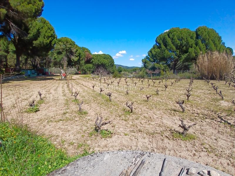Foto b9de4979-99dc-4133-b17e-28770be35662. Finca rústica en partida las colmenas 6 terreno rústico en San Martín de Valdeiglesias