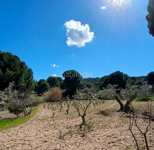 Foto baf84925-f965-4b22-af65-451eea231891. Finca rústica en partida las colmenas 6 terreno rústico en San Martín de Valdeiglesias