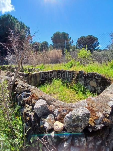Foto d95ce7e4-8c47-4d35-9ec9-d72f5872b233. Finca rústica en partida las colmenas 6 terreno rústico en San Martín de Valdeiglesias