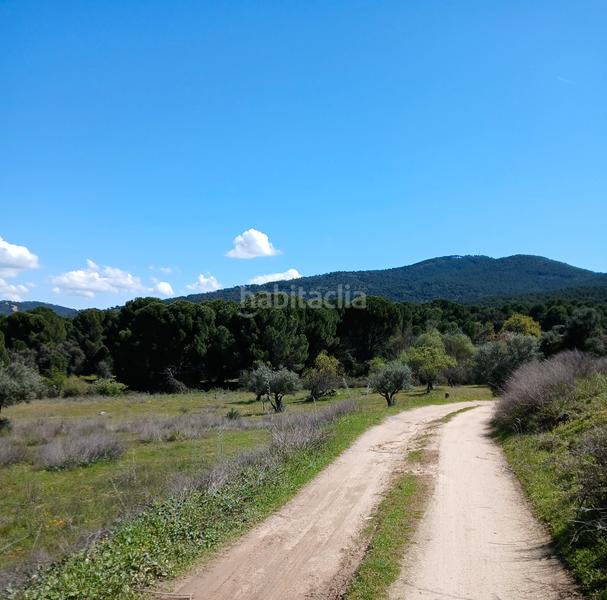 Foto da0030a3-3cc9-43ee-81b6-cb55fd059036. Finca rústica en partida las colmenas 6 terreno rústico en San Martín de Valdeiglesias