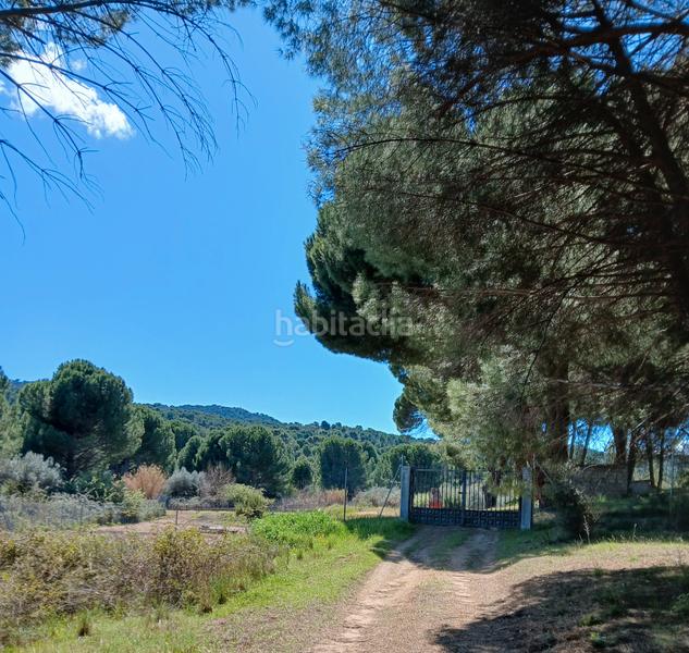 Foto eadf32f1-de4b-4e9f-9350-c0006737f43a. Finca rústica en partida las colmenas 6 terreno rústico en San Martín de Valdeiglesias