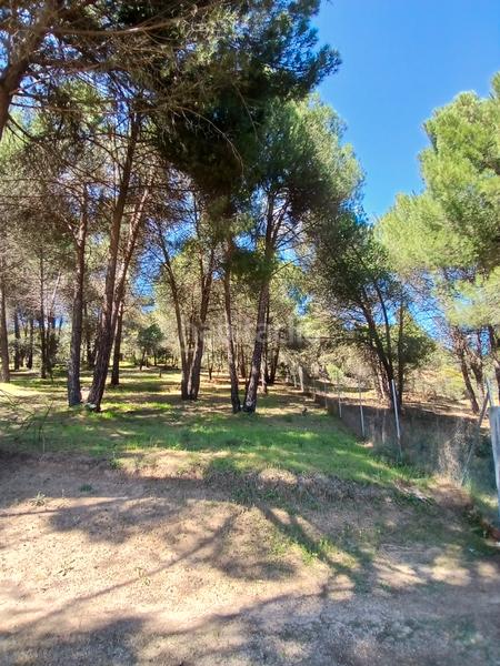 Foto eb2ad1b6-442e-4eb2-8988-671d12b7fa0a. Finca rústica en partida las colmenas 6 terreno rústico en San Martín de Valdeiglesias