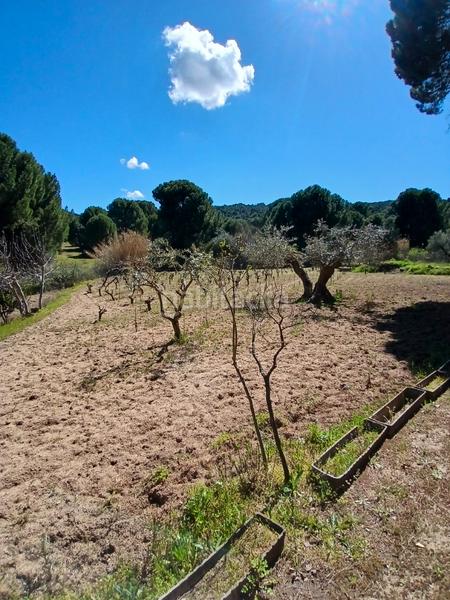 Foto f570de4c-1c9f-4ea2-873b-416a12906d1b. Finca rústica en partida las colmenas 6 terreno rústico en San Martín de Valdeiglesias