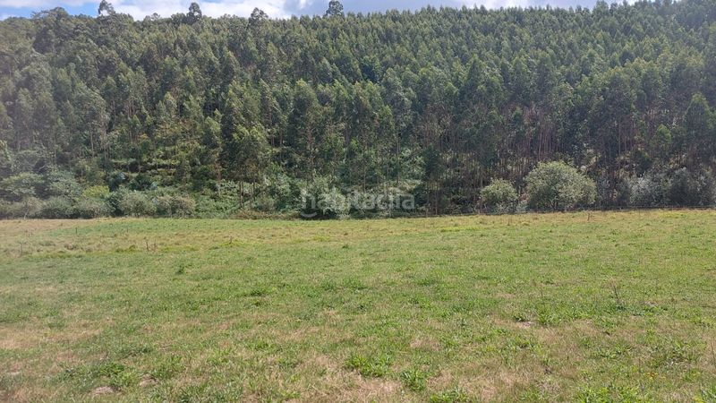 Foto 5036c449-874f-4809-92e2-b5cde97d0a5b. Finca rústica a Cudillero