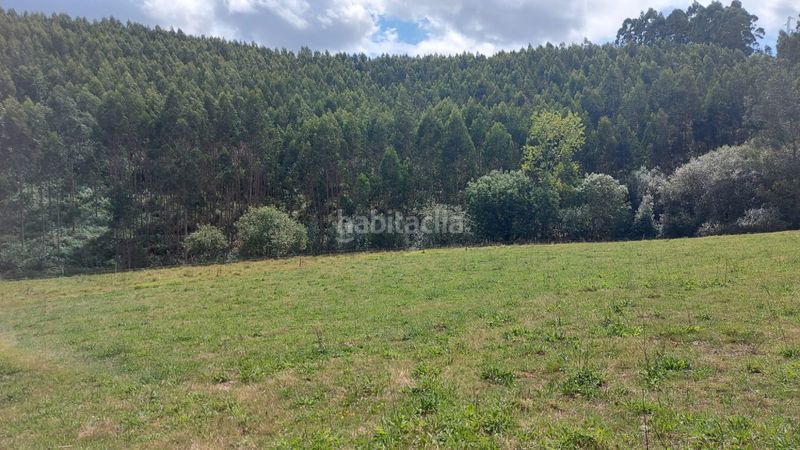 Foto cbb0dd52-5e4d-4594-b923-b3a996cc9652. Finca rústica a Cudillero