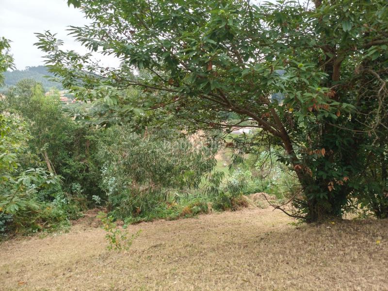 Foto a9976cd0-4c1f-4e42-b0da-93e5fd3bae44. Casa a Pillarno Castrillón