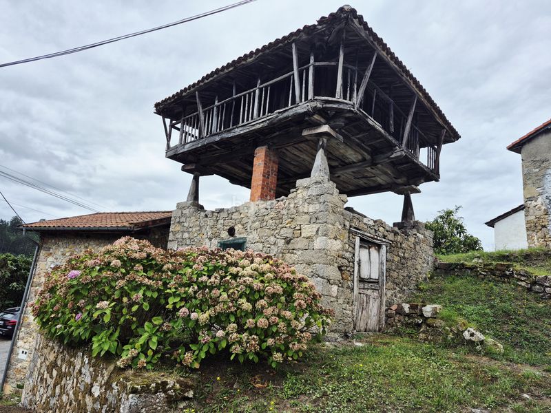 Foto b92aa218-e9a1-4eb5-9119-7db1edbef741. Casa amb calefacció aparcament a Pravia