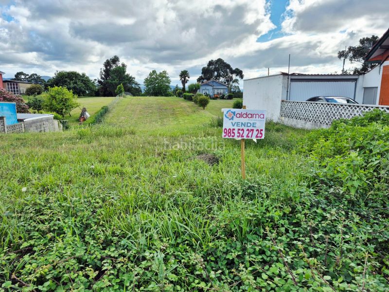 Foto f4349271-a3ab-4ba0-9ca9-5c5139e8aaef. Finca rústica a Llaranes Avilés