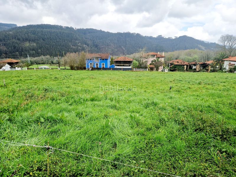 Foto b191898e-1909-4d35-bbee-f685dff3176c. Terreno residencial parcelas edificables en el valle de arango en Pravia