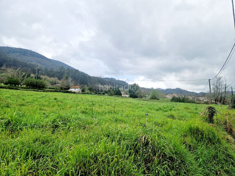 Foto c41406f1-a084-4f0f-8bd6-cda169afb561. Terreno residencial parcelas edificables en el valle de arango en Pravia
