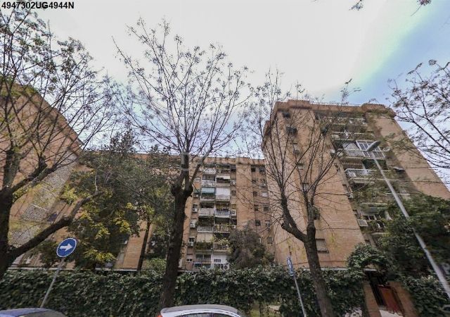 Foto bffe83fa-a02f-40c5-a597-6f25861a325a. Pis a Fuensanta- Arcángel Córdoba