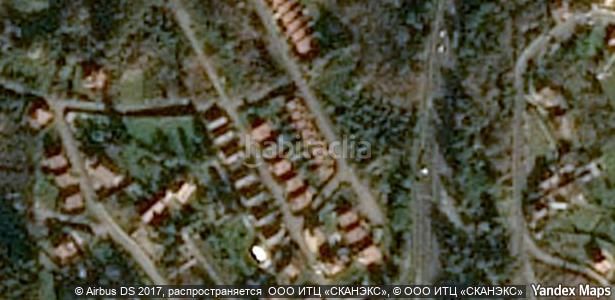 Foto b6fe61a3-21b3-4575-bef6-ea5484b2fa88. Pis a Tui