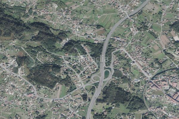 Foto bdabf0ea-7b3b-426a-9bad-e14118f87fb1. Pis a Tui