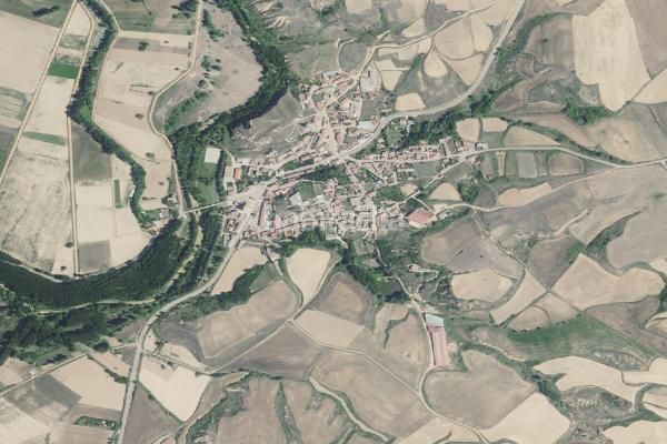 Foto 1c583746-4c1f-4b6b-b3be-9e00cae25cfb. Pis a Cea