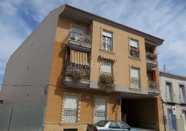 Foto 6d15c389-2888-4521-889a-bcf9144650e8. Pis a Rojales