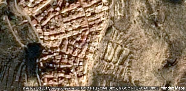 Foto 2149c2d6-5791-429c-ad2d-9b478b4232b7. Pis a Aledo