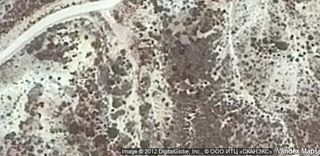 Masia a Crevillente. Gran oportunidad de inversión en subastas de activos!finca rústi