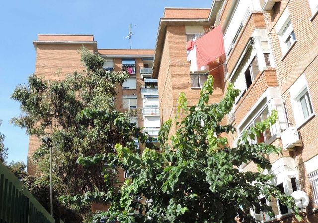 Foto 86724ba2-05d2-4db5-b0a7-c1ce6b770a70. Pis a Sur - PAU 4 Móstoles