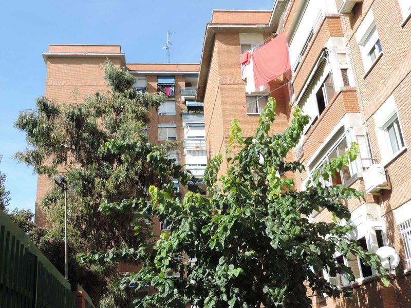 Foto b6e1e269-aa36-4464-8db7-c389bc9d6abc. Pis a Sur - PAU 4 Móstoles