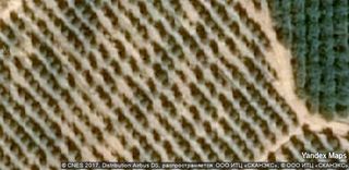 Aparcament cotxe a El Pinar de Campoverde. Gran oportunidad de inversión en subastas de activos!garaje en v