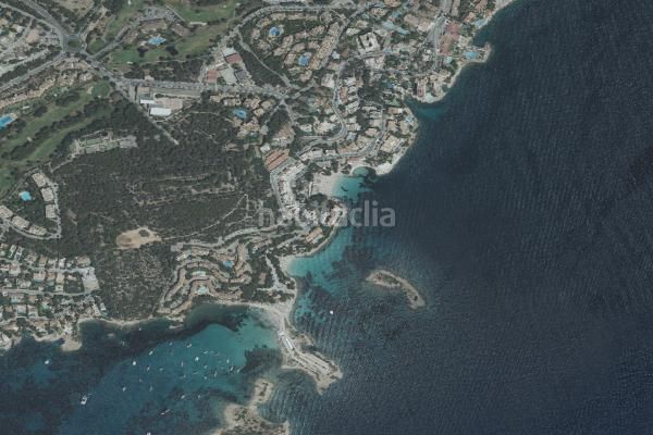 Foto 911d08ac-9b6c-4683-9a44-0e7e703d50b4. Pis a Cas Català-Illetes Calvià