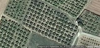 Country house in Els Molins. Gran oportunidad de inversión en subastas de activos!finca rústi