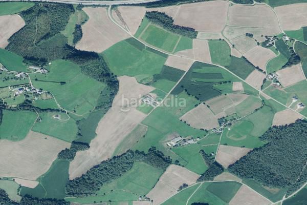 Foto e4858b98-375c-46e0-9522-fd195730df21. Pis a Navia