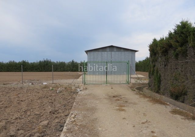 Foto d074b0ca-0f68-4482-847b-ba6930fbb9e4. Masia a El Marenyet Cullera