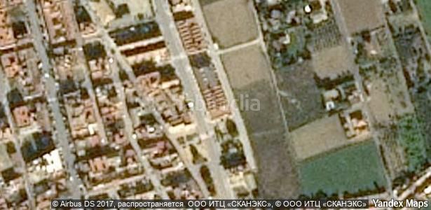 Foto f5de9e60-9166-4496-ba06-1d697de28326. Pis a Catral