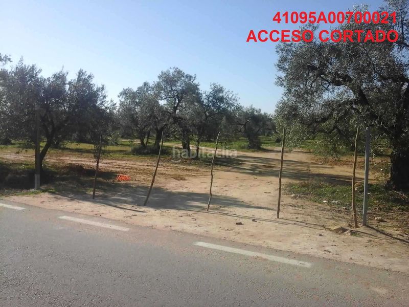 Foto c17796e8-88af-4fe3-9ddf-90a7a9291400. Masia a Centro Utrera