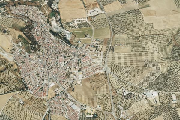 Foto f3dcb554-83fd-4806-a799-2ab81fc07f7f. Pis a Santaella