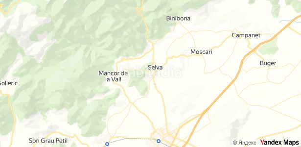 Foto 34699b52-6354-4cec-8b87-144e77faeb27. Masia a Selva