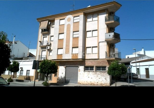 Foto 18e33121-a493-42fc-9bc6-60b31c730b2e. Pis a Baena