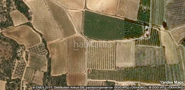 Foto 696ce6cf-8092-4c6f-9e62-618589980323. Pis a Godelleta