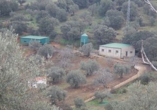 Masía en Salvaleón. Gran oportunidad de inversión en subastas de activos!finca rústi