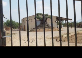 Masia a Roquetes. Gran oportunidad de inversión en subastas de activos!finca rústi