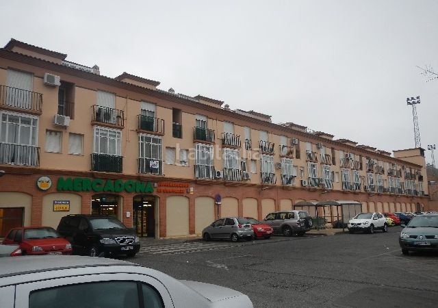 Foto f869be9d-bc10-44f0-9b11-17b493a9bd1c. Pis a Centro Tomares